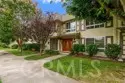 9850 Via Sonoma thumbnail 2