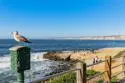 100 Coast #405 thumbnail 49