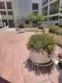 1118 Valencia Street #113 thumbnail 4