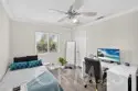41211 Pine Tree thumbnail 40