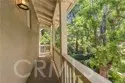 97 Canopy thumbnail 49