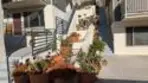 2249 Worden Street #22 thumbnail 5