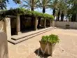 2178 Diamondback Court #30 thumbnail 25
