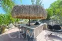26784 Lemon Grass thumbnail 31
