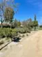 33852 Del Obispo Street #9 thumbnail 53