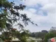 2311 Summertime Lane thumbnail 15