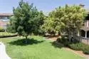 10910 Serafina Lane #52 thumbnail 22