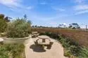 1525 Fig Tree Way thumbnail 26