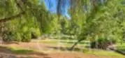 23294 Copante #89 thumbnail 60