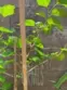 3 Ardmore thumbnail 44
