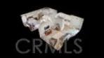 11043 Sherman Way thumbnail 16