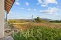 35394 Linda Rosea Road thumbnail 51
