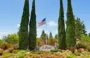12039 Alta Carmel #147 thumbnail 10