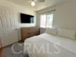 24109 Fir thumbnail 24