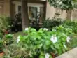 14344 Foothill #501 thumbnail 28