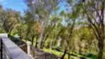28305 Via Luis thumbnail 18