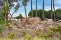 7120 Shoreline Drive #2311 thumbnail 40