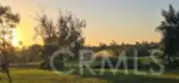 29272 Via Frontera thumbnail 38