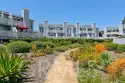 33611 Dana Vista Drive #31 thumbnail 18