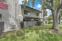 6863 Mulberry thumbnail 47