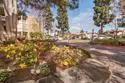 1855 Diamond Street #5-124 thumbnail 34