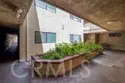 1723 Cedar #103 thumbnail 19