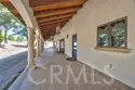 31280 Pescado thumbnail 54