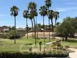 31166 Sunningdale Drive thumbnail 37