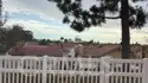 21211 Serra Vista thumbnail 3