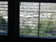 1707 Montilla Strret thumbnail 20