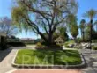 42145 Delmonte thumbnail 48