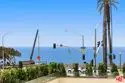 101 California Avenue #206 thumbnail 4