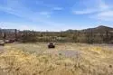 35679 Bowervine Place thumbnail 52