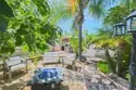 26784 Lemon Grass thumbnail 27