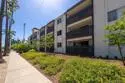 3450 2nd Avenue #14 thumbnail 22
