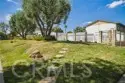 6629 Wilbur Avenue #22 thumbnail 22