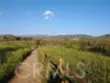 5733 E Stillwater Avenue #2 thumbnail 52
