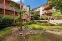 2610 Torrey Pines Road #C22 thumbnail 19