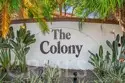 59 Colony thumbnail 30