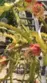 29535 Hyperion thumbnail 26