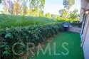 21224 Jasmines thumbnail 35