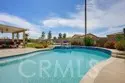33973 Wintergreen Place thumbnail 8