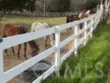 42525 Calle Capistrano thumbnail 2