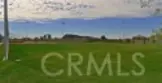140 W Cork Tree thumbnail 45