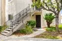 6675 Paseo Del Norte #E thumbnail 3