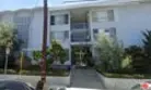 512 Evergreen Street #309 thumbnail 1