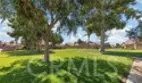 983 Stonecrest Street thumbnail 11