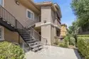41410 Juniper thumbnail 2