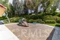 21256 Camelia thumbnail 30