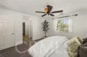 140 W Cork Tree thumbnail 22